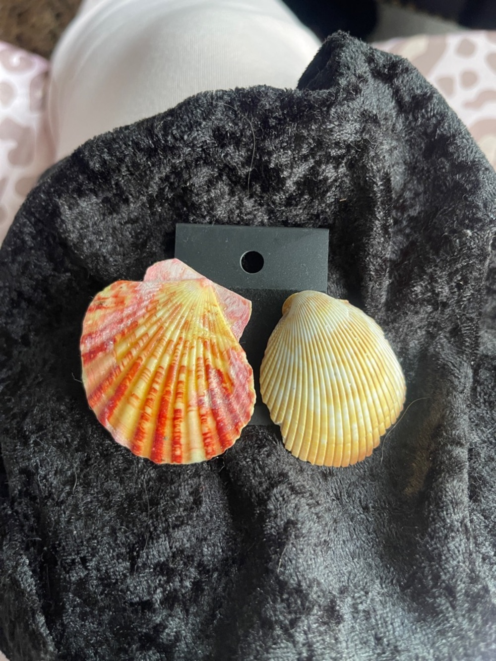 Seashell Statement Earrings in Coral and Yellow